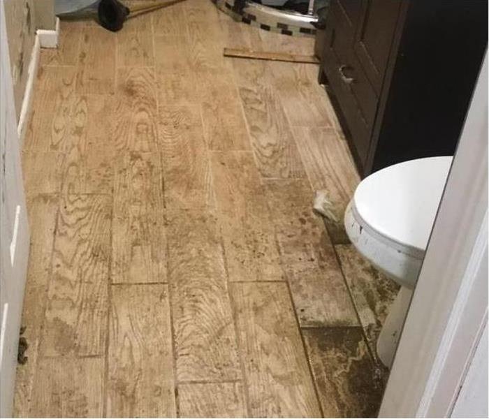 Wood flooring in a bathroom with mold staining on it. 