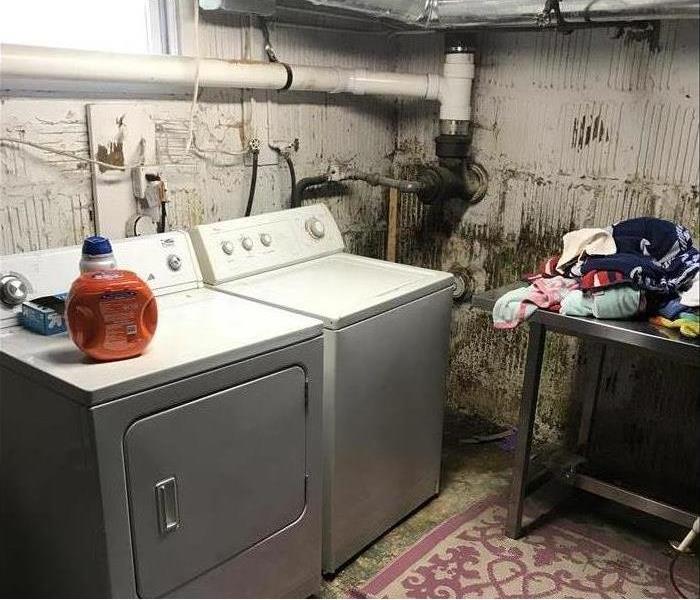 laundry area with mold on concrete walls